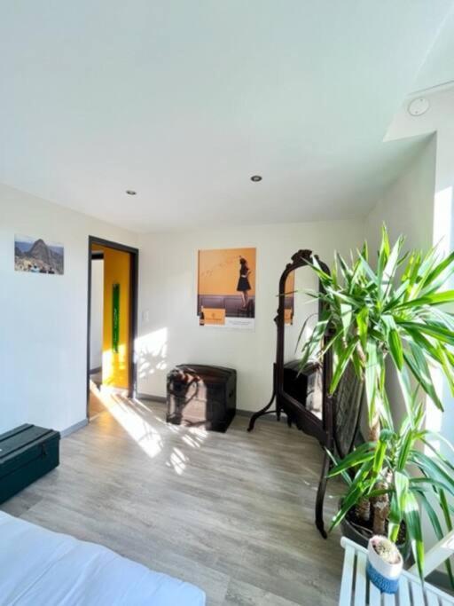 Appartement Le Grenier A Sel - Reims Extérieur photo